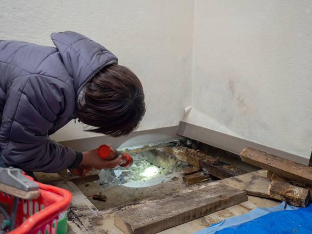 Best Biohazard Mold Removal  in Wyandanch, NY