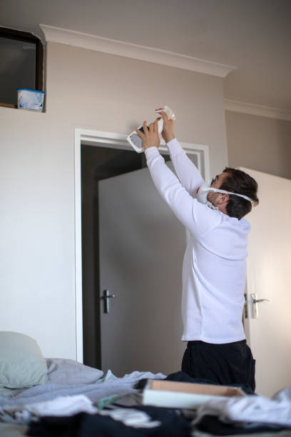 Best Basement Mold Removal  in Wyandanch, NY