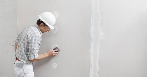 Best Commercial Mold Inspection  in Wyandanch, NY