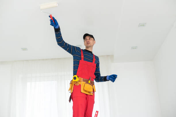 Best Comprehensive Air Testing for Mold Contaminants  in Wyandanch, NY