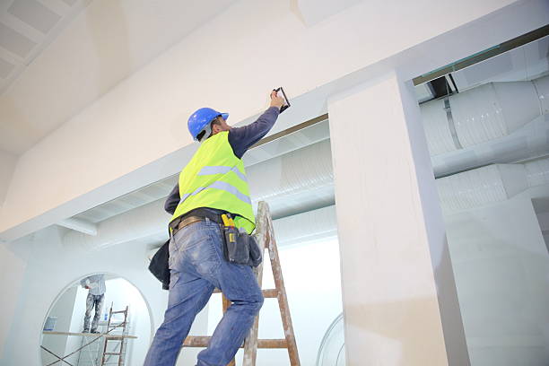 Best Mold Damage Restoration  in Wyandanch, NY